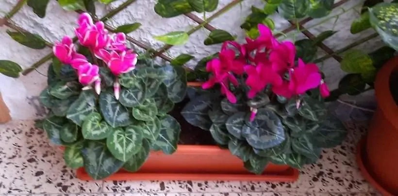 פואנגירולה Sunshiny Costa Del Sol - Beach Apartment